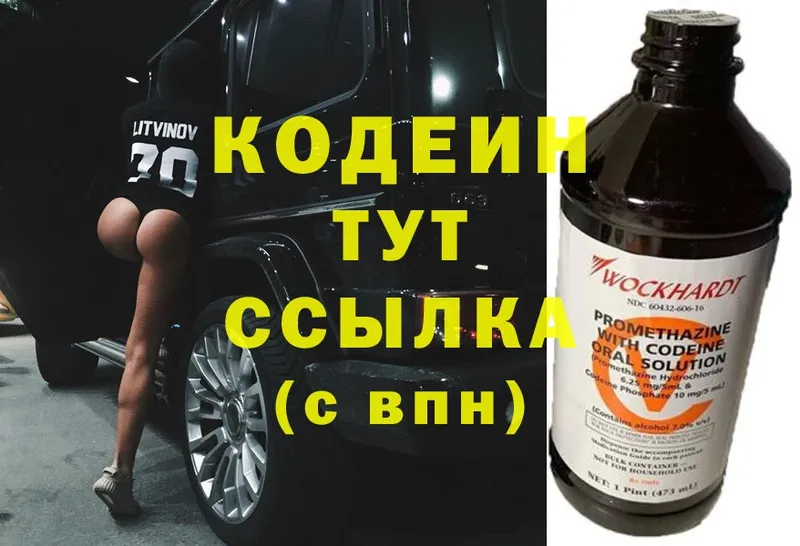 как найти закладки  Новоржев  МЕГА как зайти  Codein Purple Drank 